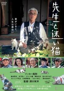 先生と迷い猫 レンタル落ち 中古 DVD