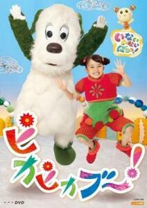 NHKDVD いないいないばあっ!ピカピカブ～! レンタル落ち 中古 DVD