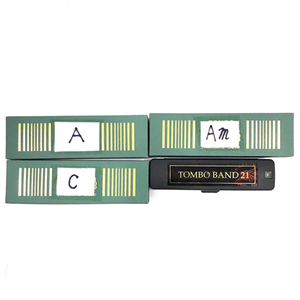 TOMBO HARMONICA21 超特急 Iwasaki solo ハーモニカ 保存ケース付き 楽器 吹奏楽器 計4点 セット