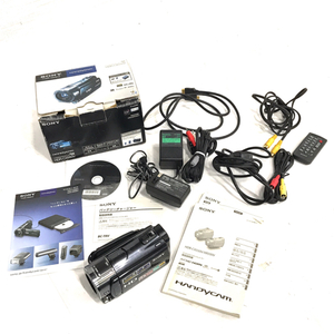 SONY HDR-CX550 HD デジタルビデオカメラ 動作確認済み QR023-580