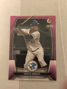 2023 Topps Bowman Chrome NPB 114 中日ドラゴンズ　ブライト健太 /75 ピンクパラレル　75枚限定