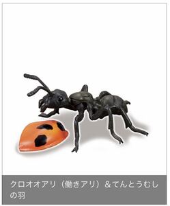 地球生命紀行 アリ ~素晴らしきミクロの世界~ クロオオアリA(働きアリ)＆てんとうむしの羽 エポック社 ガチャポン チョコエッグ フィギュア