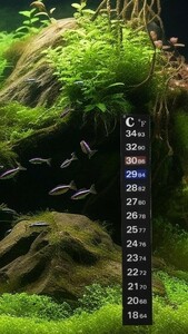 [ new goods unused ] temperature color change sticker thermometer water temperature gage seal aquarium aquarium tropical fish breeding 