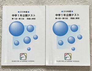 馬渕教室 中2 公開テスト 2019年 中学2年