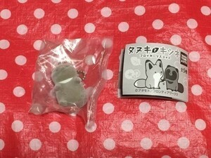 ネコポス■ タヌキとキツネ フロッキーマスコット クマ アタモト