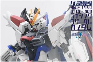 HGCE 1/144 STTS-909 ライシングフリーダムガンダム 改修塗装完成品