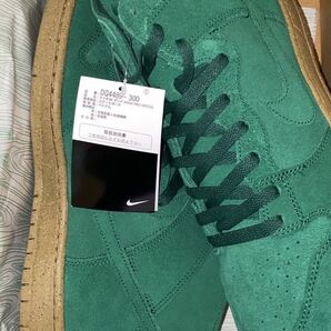 Nike SB Dunk High Pro Decon Gorge Greenナイキ SB ダンク ハイ プロ デコン ゴージグリーン（DQ4489-300）緑 28cm箱ありの画像2