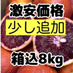 愛媛県産 家庭用 ブラッドオレンジ(モロ) 箱込8kg発送 柑橘 果物 ミカン