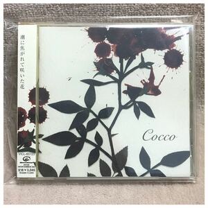 サングローズ / Cocco《帯付き》