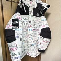 Supreme/The North Face Coldworks Parka_画像1