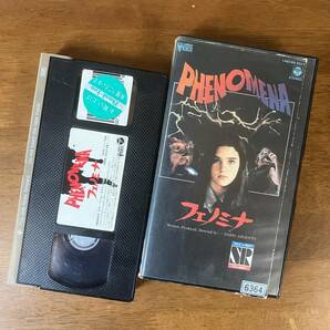 「フェノミナ／PHENOMENA」レアVHS ダリオ・アルジェント ジェニファー・コネリー ゴブリン レンタル落ちの画像5