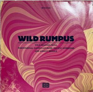 【LOFT】Wild Rumpus - Wild Remix EP DJ COSMO, Gary Lucas, Bitches Brew 12インチ
