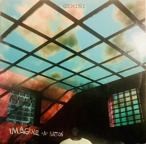 【97年リリース】Gemini Imagine-A-Nation シカゴハウス ディープハウス Relief Records12インチ 2枚組