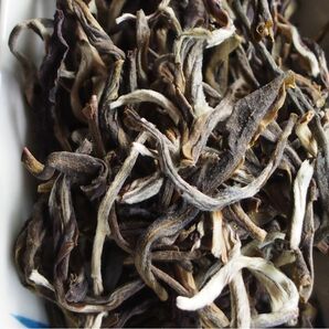 中国茶　台湾茶　茉莉花茶　ジャスミン茶　特級大龍毫　２０ｇ