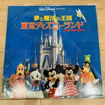 LD ディズニー Disney まとめ 4枚 夢と魔法の王国 東京ディズニーランド PILW-1021 白雪姫 PILA-1285 美女と野獣 PILA-1231 アラジン_画像8