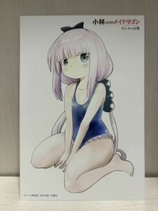 小林さんちのメイドラゴン　カンナの日常　8巻　とらのあな特典　イラストカード　(漫画 非売品 クール教信者