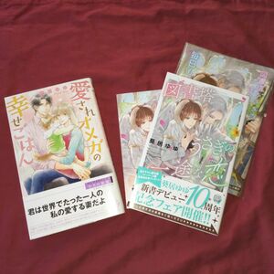 BL 小説 葵居ゆゆ 愛されオメガの幸せごはん 図書塔うさぎの一途な恋 