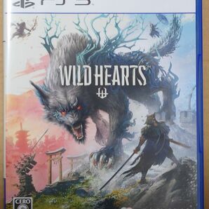 PS5 ソフト ワイルドハーツ WILD HEARTS