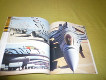 洋書　写真集　EYE　on　the　TIGERS　Danny Coremans&TIGERS　Team　タイガーミート　F-16　戦闘機　タイガーチーム　タイガーマーキング_画像8