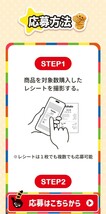 レシート懸賞応募、オリジナルクオカード5000円分とお菓子詰合せが当たる！締切第1回3月31日_画像3