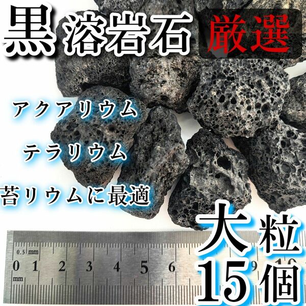 黒溶岩石　大粒　15個　アクアリウム・テラリウム・コケリウムに最適