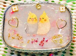 (G-2)可愛いオカメインコのピルケース/ハンドメイド/ミラー付き/アクセサリーケース　小物入れ　仕切り有り　レジン