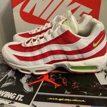 AIRMAX95 171カラー_画像1