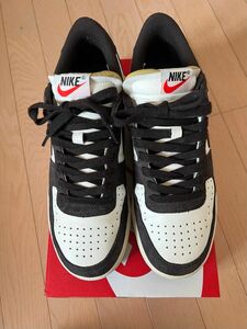 【最安値！美品】27.5cm NIKE Terminator Low Velvet Brown 