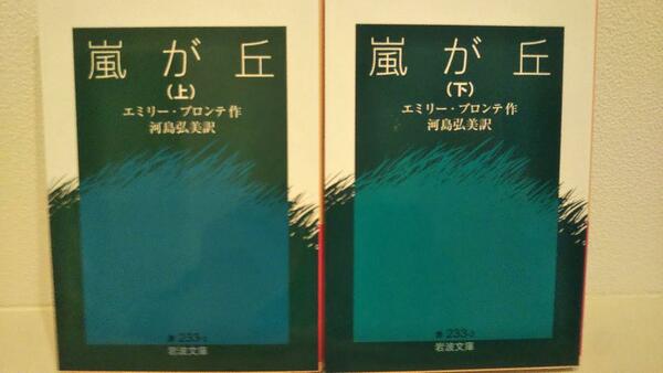 嵐が丘(上)（下）巻セット (岩波文庫)