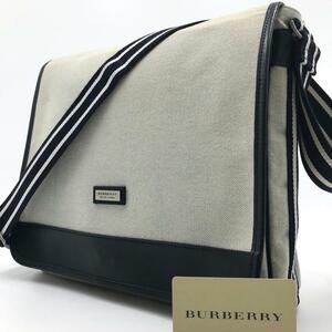 【最高級】バーバリーブラックレーベル BURBERRY BLACK LABEL メンズ ビジネス A4収納可能 ストライプ レザー グレー系 斜めがけ