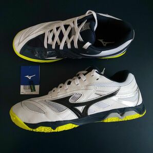 ミズノ ウエーブメダル 6 mizuno WAVE MEDALE 6 卓球シューズ 27.0cm 中古