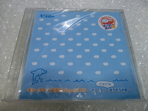 非売品 未開封即 ℃-ute 2009 FCバスツアー 房総 参加者配布CD 鈴木愛理 矢島舞美 中島早貴 萩原舞 岡井千聖 梅田えりか 有原栞菜 ハロプロ