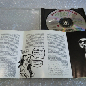 ★即決CD The Flamin' Groovies フレイミン・グルーヴィーズ 24曲収録 70sベスト ガレージロック パブロック パワー・ポップ 人気盤の画像2