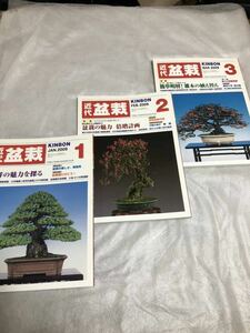 【即決】月刊 近代盆栽　KINBON　2009年1，２３月号　近代出版　