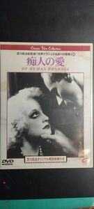 DVD/痴人の愛/洋画