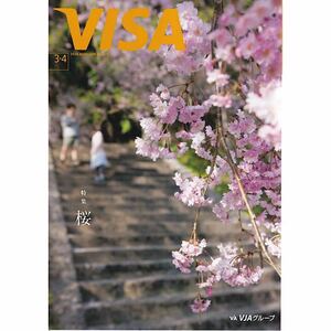 VISA 2024年3+4月号 桜 谷原章介 おうちフィットネス