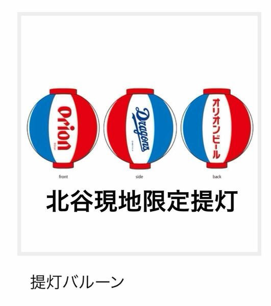 (１点のみ)中日ドラゴンズ沖縄キャンプ限定　オリオンビールコラボ提灯