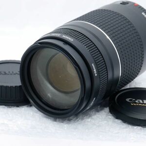 ☆美品・完動☆CANON EF 75-300mm F4-5.6 III 3型 USM キヤノン 望遠レンズ☆保証付☆A962