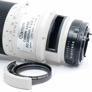 ☆良品・完動☆CANON New FD 300mm F2.8L キヤノン 単焦点レンズ☆保証付☆L001の画像10