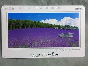 未使用　テレカ　北の国から　ふらの　富良野　FURANO　PHOTO Hideji Watanabe　＜431-170＞105度数