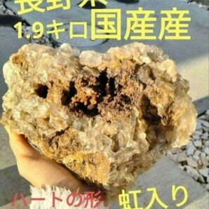長野県 天然水晶 栗生水晶山産 水晶 原石 1.9キロ 大サイズ 早い者勝ち