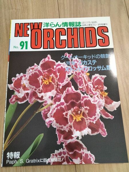 洋らん情報誌　 ニューオーキッド No91New Orchids　 洋蘭　洋らん情報誌 ニューオーキッド 洋らん情報誌 