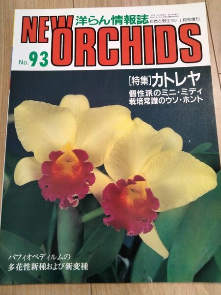 洋らんの情報誌ニューオーキッド No91New Orchids　洋蘭雑誌　洋蘭　洋らんノ情報誌　カトレヤ