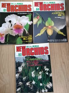 洋らん情報誌 ニューオーキッド洋らんの情報誌 ニューオーキッド No80 No81 No84 3冊