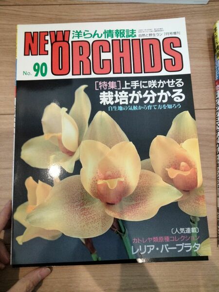 洋蘭雑誌　レリア　パープラタ　洋らん洋らん情報誌 ニューオーキッド No90 洋らん情報誌 ニューオーキッド 趣味の洋ラン 洋ラン