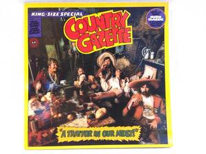 ◆220◆COUNTRY GAZETTE カントリー・ガゼット / 中古 LP レコード / 1970年代 アメリカ ロック ROCK 洋楽