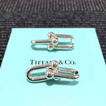 美品【ティファニー】基準内 TIFFANY&Co. ピアス ハードウェア リンク シルバー925 全長3.5cm イヤリング メンズ レディース 箱付_画像2