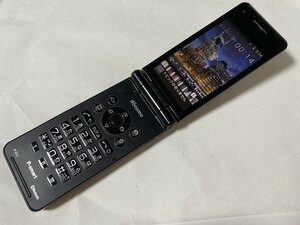 IF119 docomo P-01J 4GB ブラック ジャンク