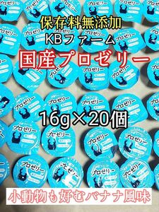 KBファーム 国産プロゼリー16g 20個 カブトムシ クワガタ 昆虫