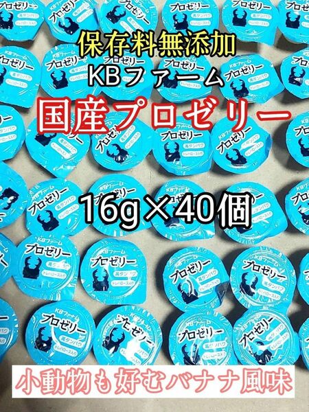 KBファーム 国産プロゼリー16g 40個 カブトムシ クワガタ 昆虫